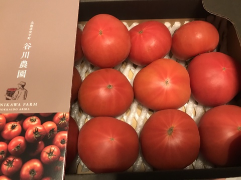 【北海道産】🍅樹上熟3段採り🍅桃太郎トマト4kg（2kg箱× 2） 〈訳あり品〉