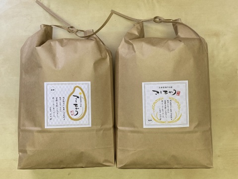 【自然栽培コシヒカリ】白米20kg【5kg袋×4】令和5年度兵庫県産 農薬肥料不使用の自然栽培米
