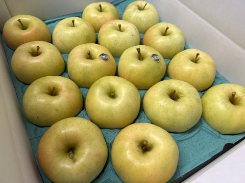 【ときめく甘さ】 トキ 約3kg(8～12個)