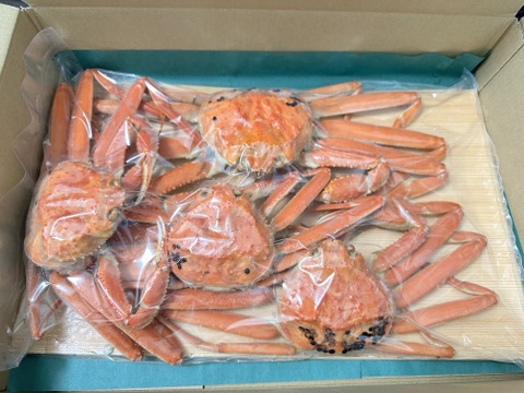 たまらない旨さ✨本ズワイガニ~人気でお得な浜茹で1.5Kgセット~