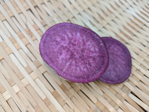 【規格外】鮮やかな紫色！　小さめの紫芋　（あやむらさき）