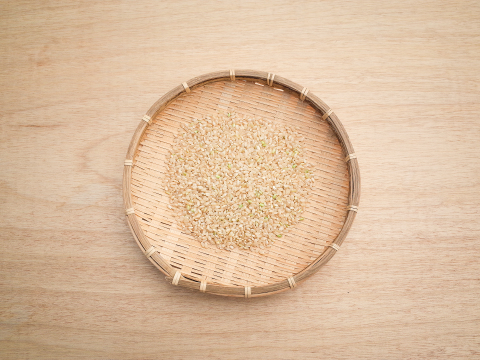 【令和7年 新米】【玄米】岡山県産 にじのきらめき 虹のきらめき 9kg 2025年度