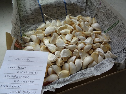訳あり！《農薬化学肥料不使用》バラ売り愛知県国産ニンニク500g