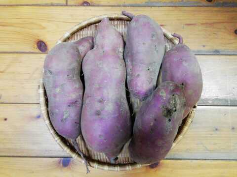 さつまいも(パープルスイートロード)３㎏前後【農薬化学肥料不使用】【熨斗(のし)対応可】【あわせ買い可】　サツマイモ