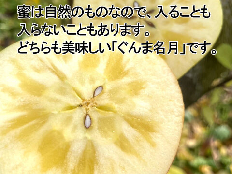 《予約商品》綺麗なぐんま名月 11月上旬  5キロ箱 14～20玉 長野県産