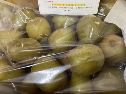 スイ～トレッドキウイ　家庭用７玉２K箱