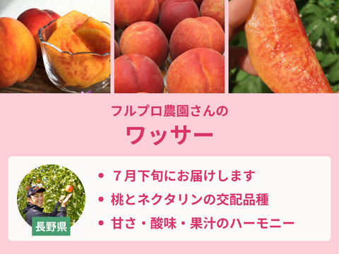 7月5日までお取り置き品✨桃蓮玉✨ 楽天市場】【8/1限定！全額ポイントバックの大チャンス】和歌山