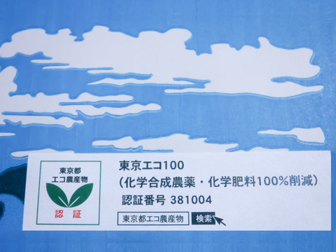 【農薬不使用】東京エコ100認証パッションフルーツ１０～１１玉