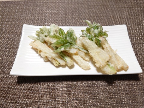 群馬県産　採れたてウド　４本　500〜550g