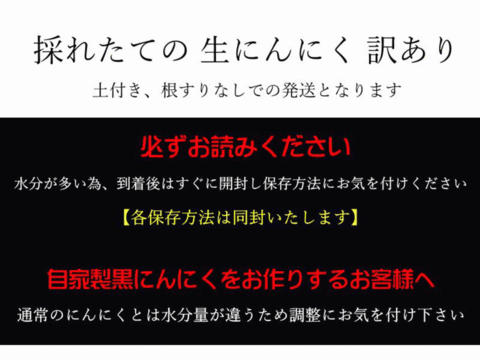 期間限定 採れたて新鮮！幻の「生にんにく」Lサイズ 訳あり 1kg