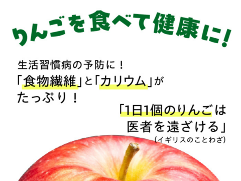 噛むほどに美味い！青森県産ドライフルーツりんご「木の実　実のまま」50ｇ×2袋