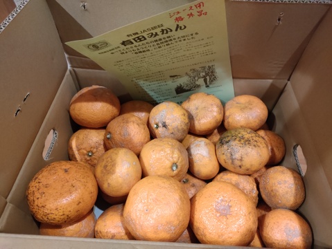 【数量限定〈ジュース用〉・通常品の半額！】昔懐かしい味！希少な有機栽培和歌山有田みかん古果園【有機JAS認証みかん】規格外.外観（見た目が悪い）・サイズ混合・お得な！5kg
