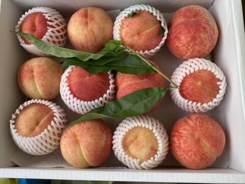 桃 と ワッサー 食べ比べ！ どちらも熟してきました。
両方を味わいたい方のための12～16個セット。