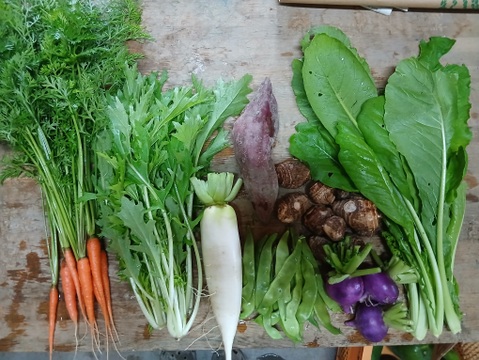 根っこ農園　自然風味お野菜セット