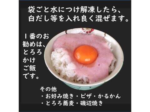 紫山芋１００％すりおろし、 瞬間冷凍、 小分け１００ｇ×６袋、冷凍パック、紫色はアントシアニン、大分市産、農薬・化学肥料不使用、保冷剤入り