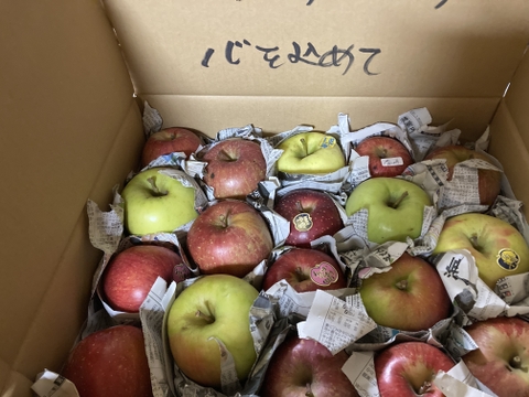りんごの『おもちゃ箱』約5kg箱15玉〜