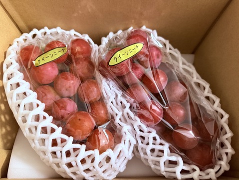✨️🌿今が旬 クイーンニーナ🌿✨️ 【2房入/約1㎏程度】：茨城県産の