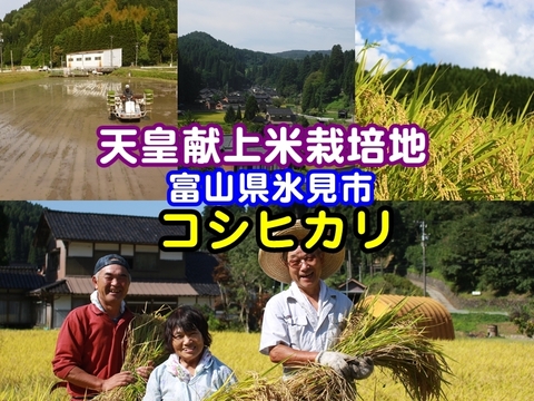 天皇献上米のコシヒカリ（特別栽培米）玄米9kg