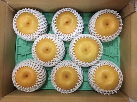 梨の王様👑　千葉県産【新高】5㎏　大玉『5玉～8玉入』市川のなし・フルーツキャップ個装