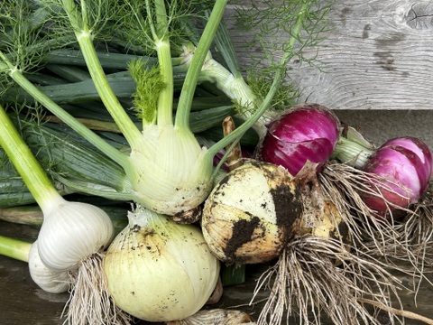 SALE！Sサイズ [信州産] 春野菜の玉手箱