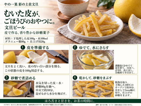 土佐文旦 贈答用 大玉5kg 化粧箱入り｜選び抜いた一箱｜約8～11玉