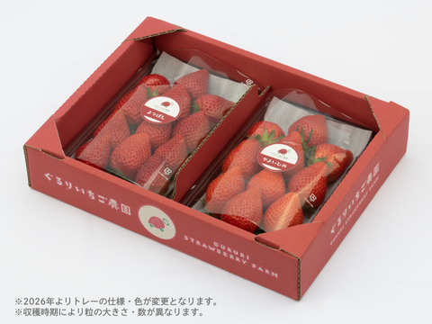 2パック｜贅沢いちごの食べ比べ！やよいひめ・よつぼしセット500g