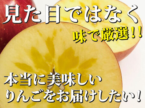 【朝市限定】【毎年１万箱以上売れてます】約３キロ 青森県産りんご「樹上完熟葉とらずふじ」家庭用厳選品