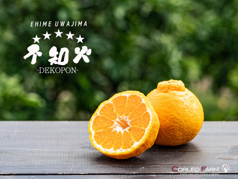 スペシャル熟成！ 完熟の濃厚なコク【不知火】Aセレクション（家庭用）5kg