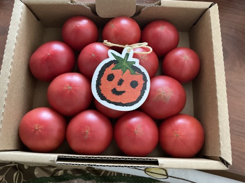 濃厚！濃ウマ！個性派ヤサグレフルーツトマト（箱入り・約1kg)