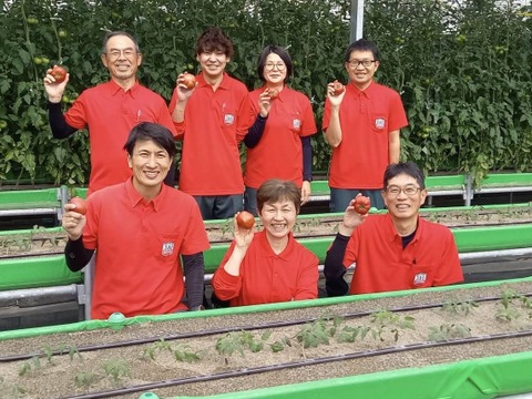 【12月再販予定】ずっしり❗️ジューシー❗️朝採り完熟トマト(規格外)