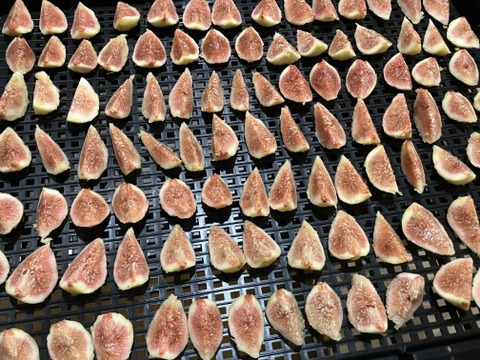 無添加いちじくのドライフルーツ ５０ｇ/袋（蓬莱柿・尾道産）