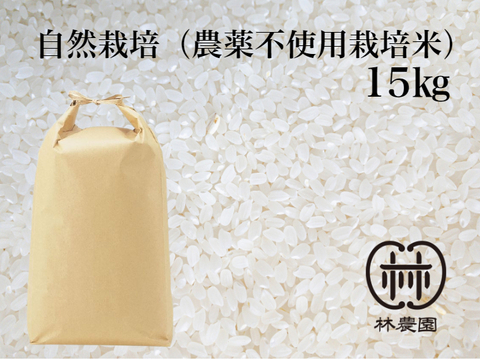 農薬不使用栽培・ヒノヒカリ白米15ｋｇ（令和3年10月収穫・未検査米）