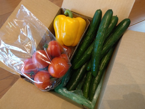 信州～夏野菜３点セットS～中玉トマト400g・パプリカ1個・きゅうり1kg　（60サイズ）