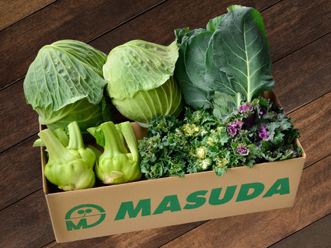 今が旬！ アブラナ科野菜セット【6品種9商品】 静岡県磐田市産（＊2022年2月18日［金］出荷分）