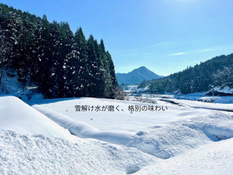 ナガノパープル – 種無し皮ごと手軽に楽しめる、濃厚な黒ぶどう