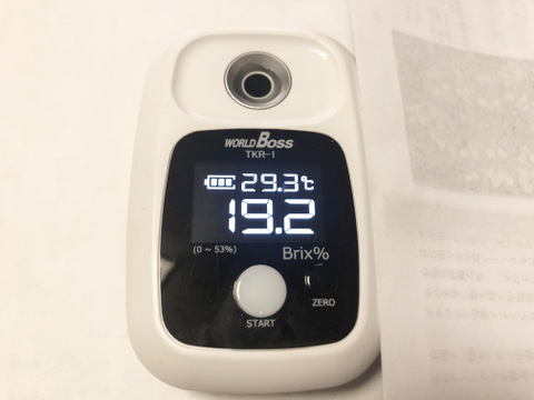 糖度抜群！種なし　あづましずく　房売り約800g　『クール便』