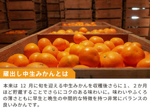 蔵出しみかん中生5kg｜和歌山県海南市下津町の特産品、蔵出しみかんの希少な中生品種