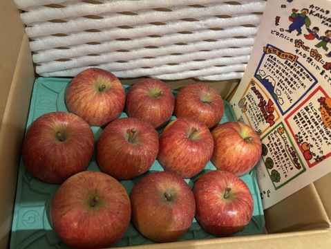感謝お礼セール‼️とことん味にこだわりました💪😊🍎青森県産葉取らず完熟ふじ約6kg‼️