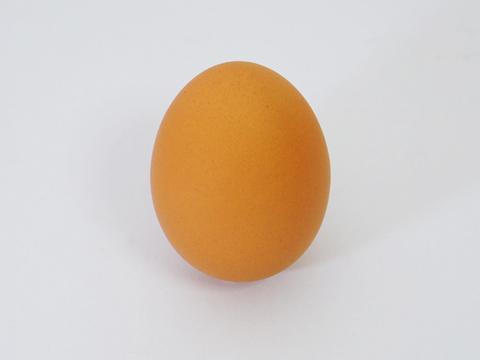 【土曜日発送】兵庫県産の新鮮な朝どりＬ卵17個(20個入り3個割れ保障）生たまご たまご 生卵 タマゴ