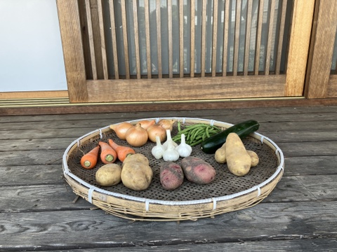 農薬化学肥料・除草剤不使用　初夏の野菜セット　6月