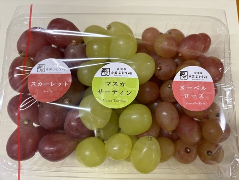 ☆３種ぶどう粒セット　１kgパック　☆９月上旬から１０月中旬の間で発送☆