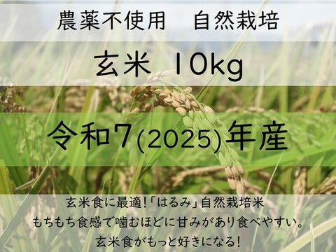 玄米食に最適「品種：はるみ」自然栽培米 10kg 令和7年産