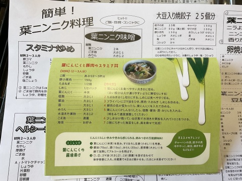 一番オススメのサイズです→ →予約増量【大好評(^^♪】グッと料理のグレードが上がる(^^ “葉ニンニク“  1000g→1050g  from 名水の里　神奈川県秦野市