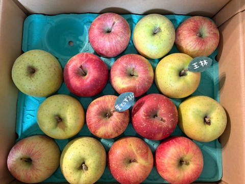 ★★新春セール★★【食べ比べ】🍎葉とらずふじ🍏王林（家庭用１３～２０玉）約５キロ　ID124974
