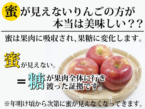 【朝市限定】【毎年１万箱以上売れてます】約３キロ 青森県産りんご「樹上完熟葉とらずふじ」家庭用厳選品