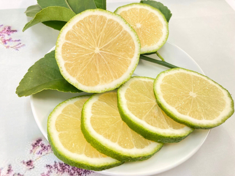 【山形県白鷹町産】キリっとスッキリ！グリーンレモン　璃の香  1kg