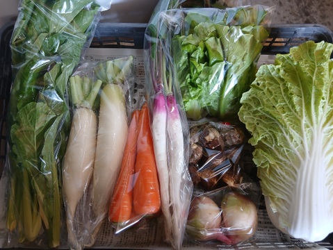 根っこ農園　自然風味お野菜セット