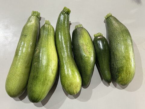 今が旬】固定種のズッキーニ1.5kg 自然栽培 訳あり品：福島県産の
