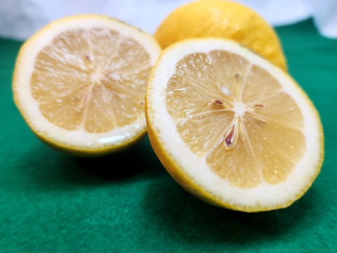 箱込約4㌔　　ワックス防カビ剤、防腐剤不使用　皮まで安心レモン