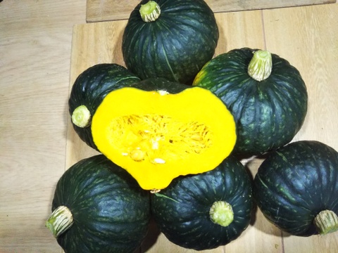 カボチャの食べ比べセット。
新種かぼちゃ「ブラックのジョー」、歴史ある「九重栗かぼちゃ」
どちらも濃厚な甘みが特徴です。
収穫から３０日以上追熟させております